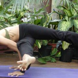 2. Yogini Unmani 2_2_11zon