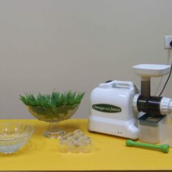 9. Wheatgrass Juicer copy_16_11zon